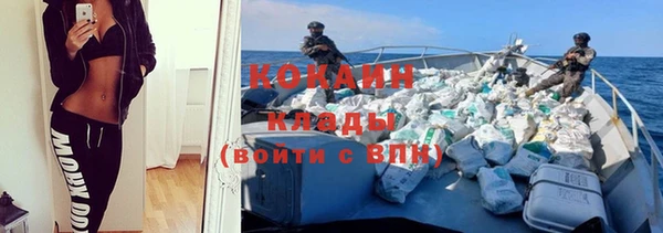 шишки Балабаново