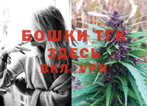 шишки Балабаново